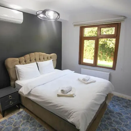 Amazing Villa With Pool Surrounded By Nature In Sapanca 빌라 *